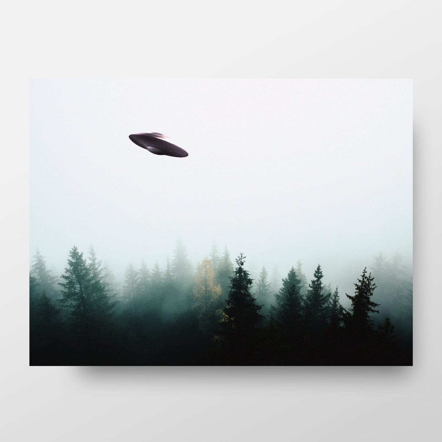 Poster Soucoupe volante (OVNI) au-dessus d'une forêt