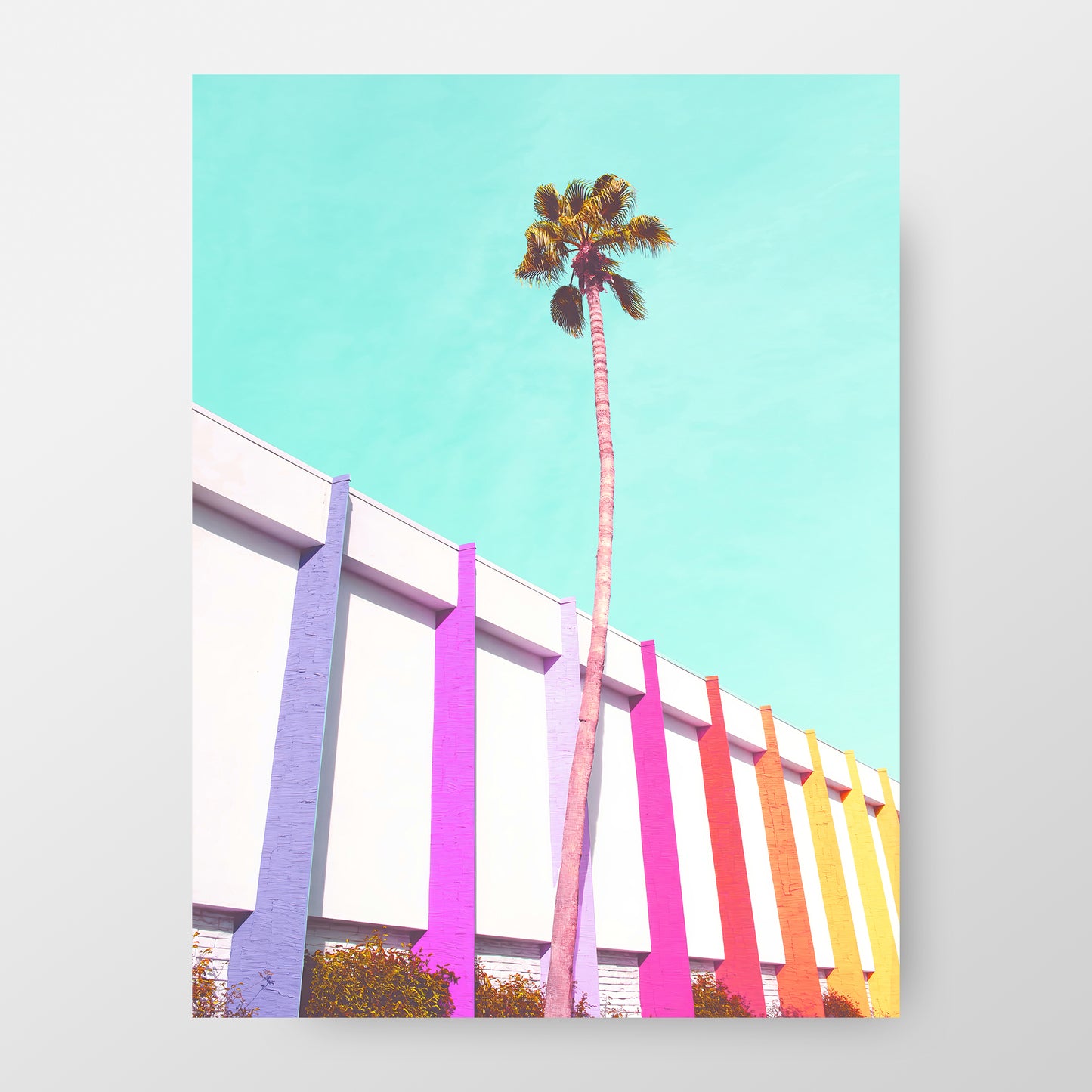 Vibrant Palm Spring, California Poster | Street Photography