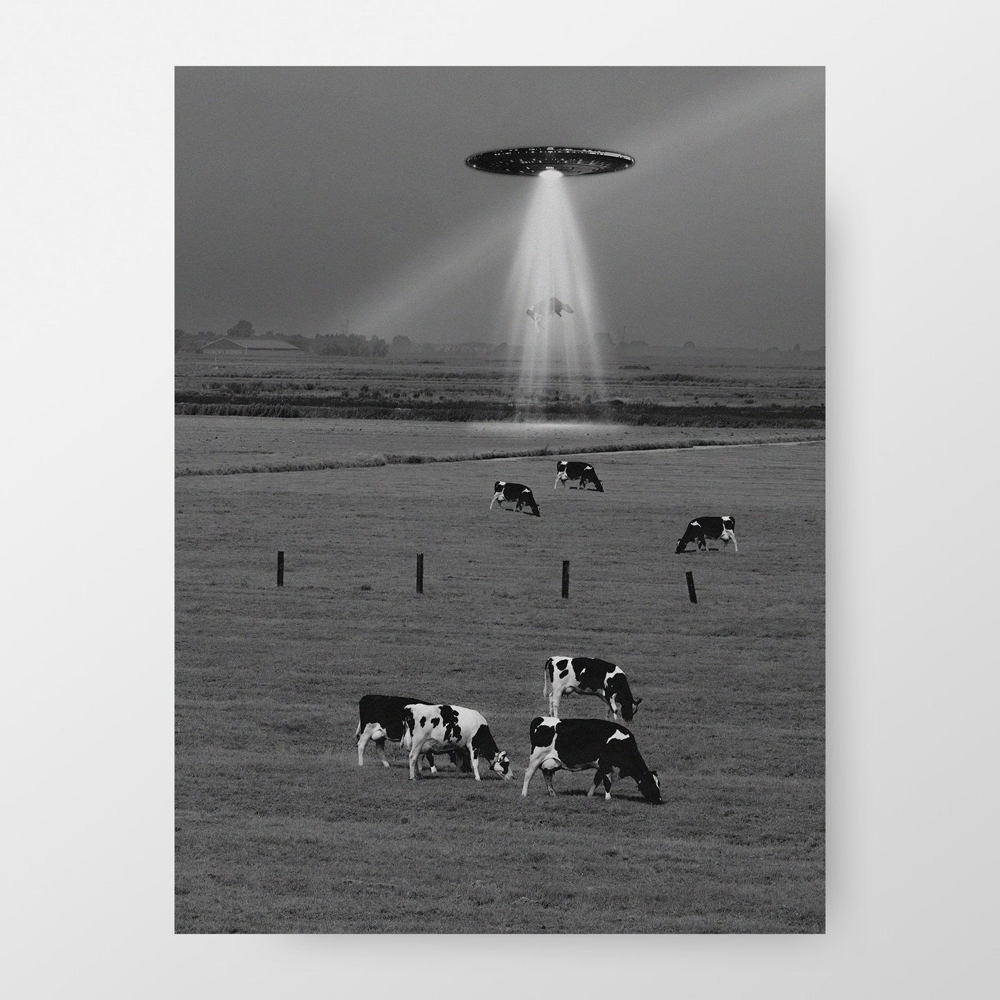 UFO Flying Saucer Cow Abduction Poster