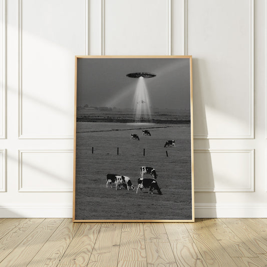 UFO Flying Saucer Cow Abduction Poster