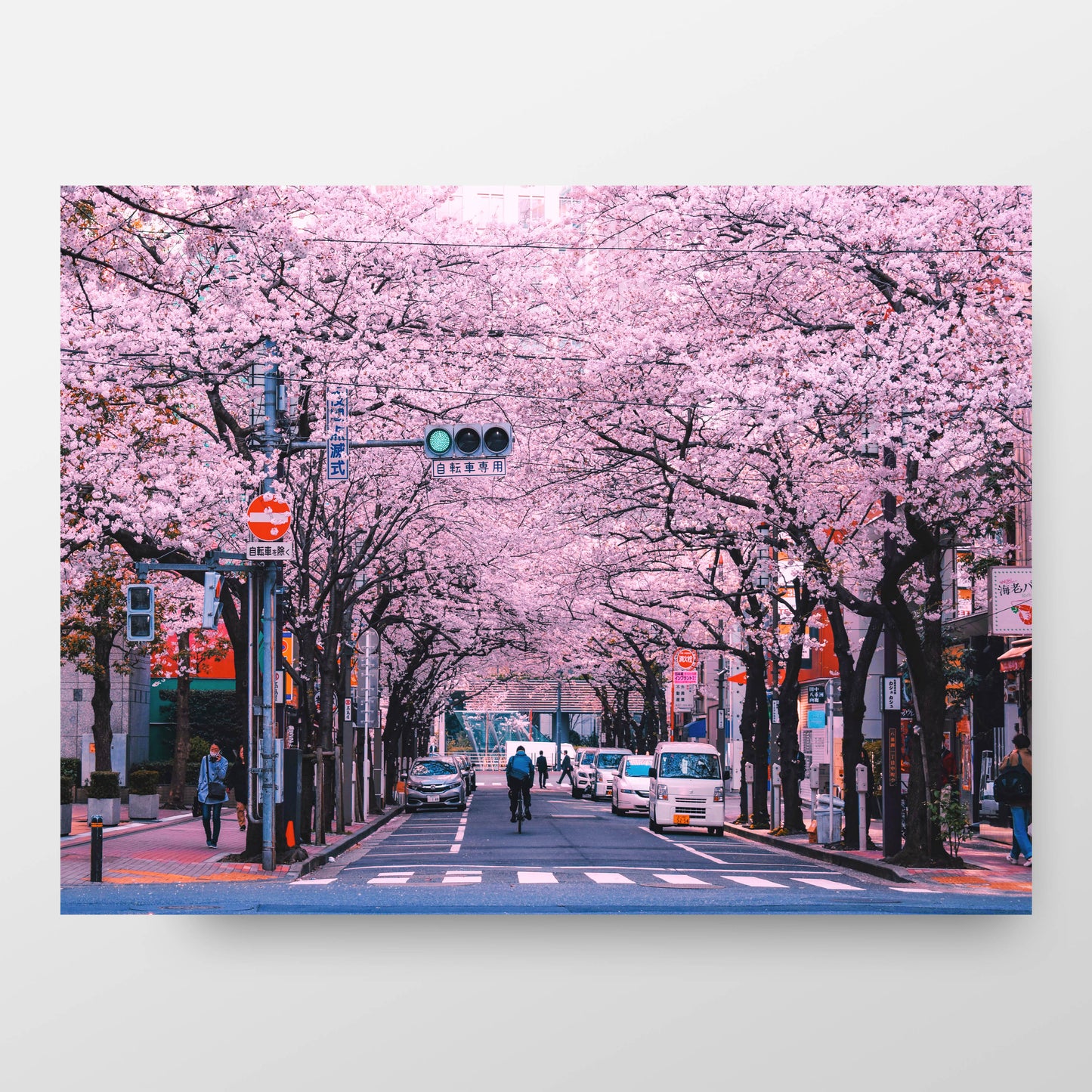 Fleurs de cerisier dans les rues de Tokyo Poster