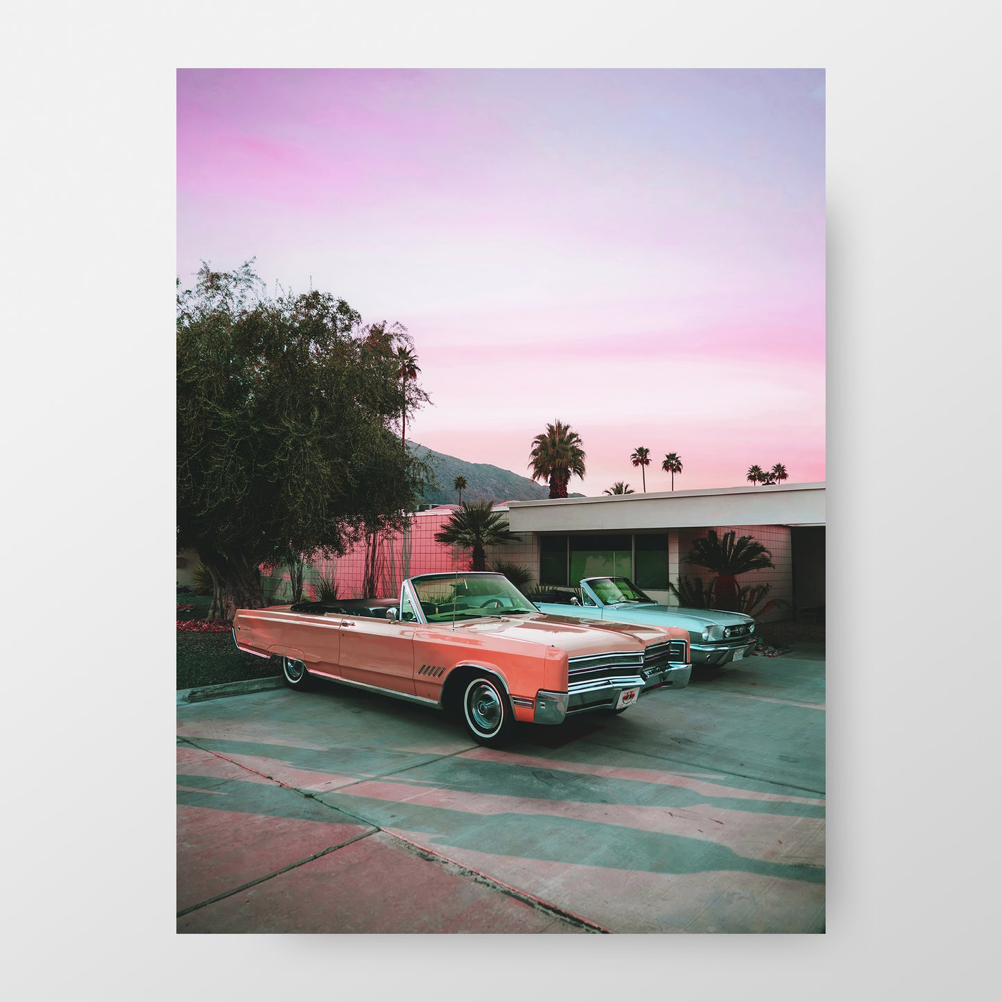 Vibrant Palm Spring at Sunset, California Poster | Street Photography