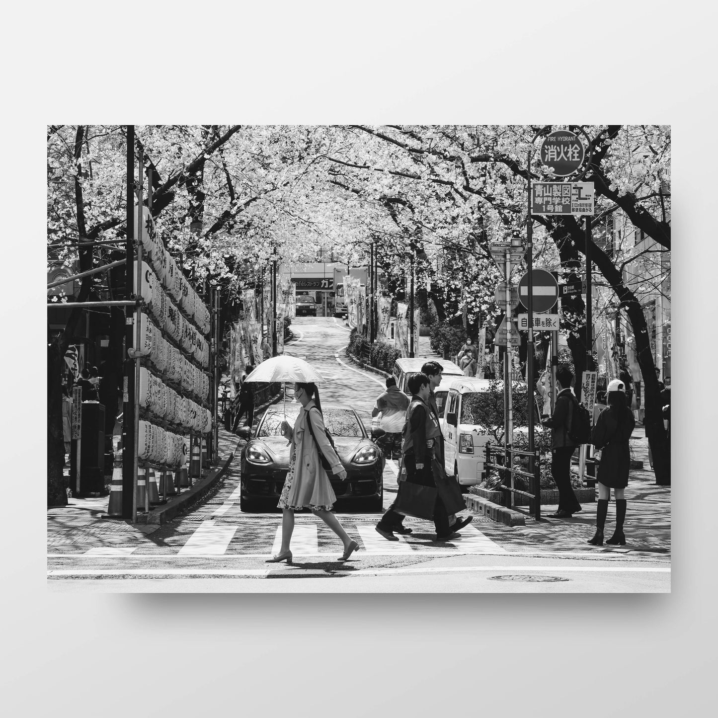 Tokyo Street With Cherry Blossoms Poster, Black and White Photography Print